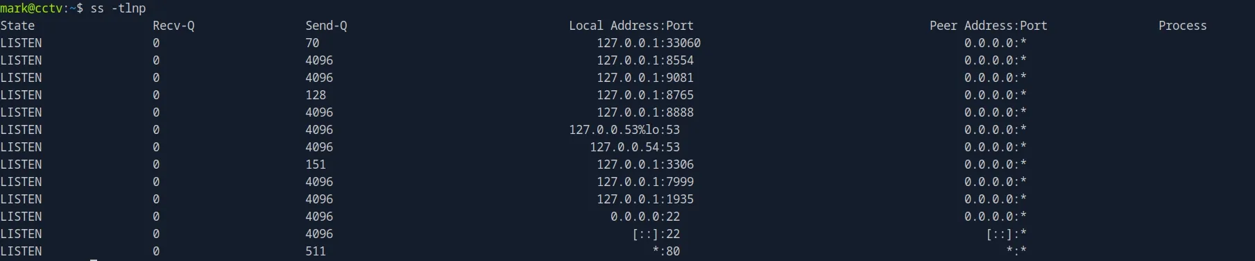 ss -tlnp output